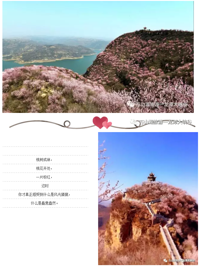 3月5日你有桃花运，荆紫仙山第三届桃花节开幕，约吗？