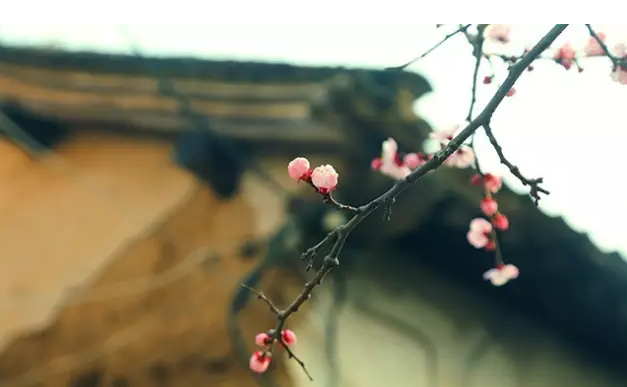 看完这篇文章，一定能帮您省不少钱