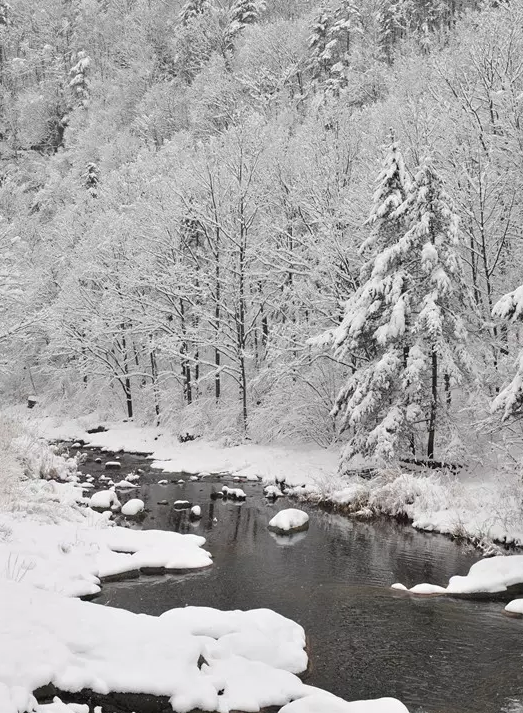 暴雪如期而至，洛阳白云山又成了一个冰雪童话世界！