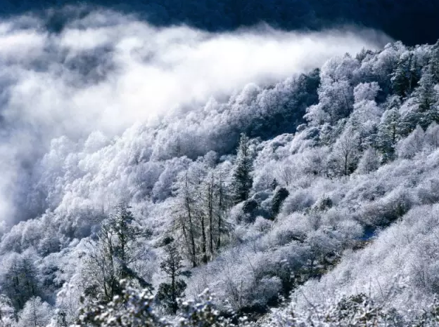 暴雪如期而至，洛阳白云山又成了一个冰雪童话世界！