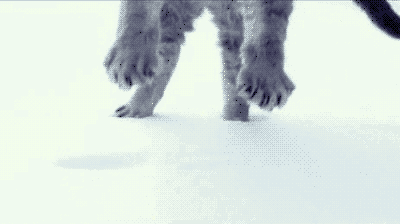 暴雪如期而至，洛阳白云山又成了一个冰雪童话世界！