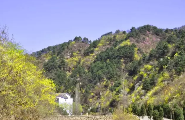 明媚三月，只有“她”可以免费带你来洛阳白云山度假