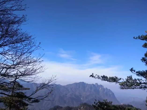 明媚三月，只有“她”可以免费带你来洛阳白云山度假