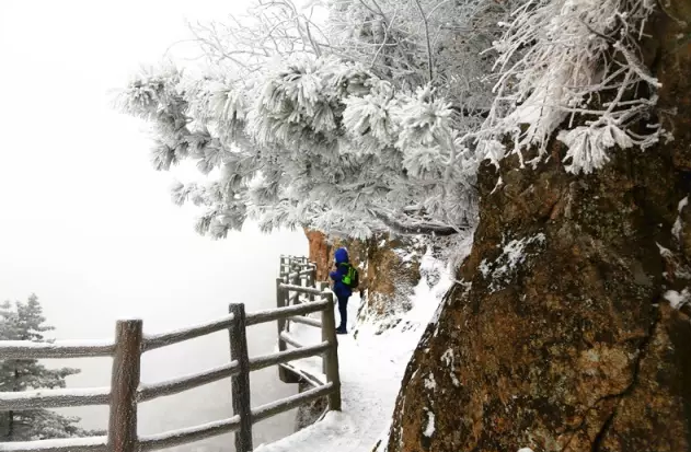 皮皮虾我们走 老君山的雪景美极了