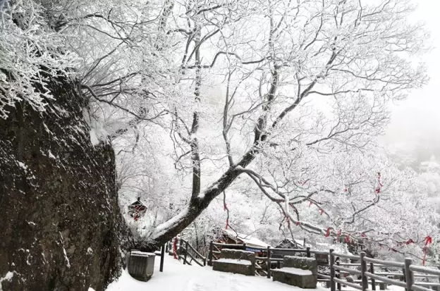 皮皮虾我们走 老君山的雪景美极了