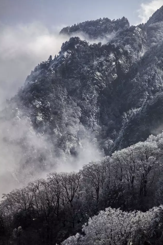 皮皮虾我们走 老君山的雪景美极了