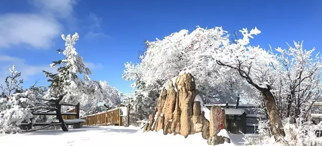 皮皮虾我们走 老君山的雪景美极了