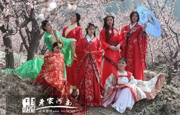 香飘芒砀 杏花仙子与您共赏杏花满枝头