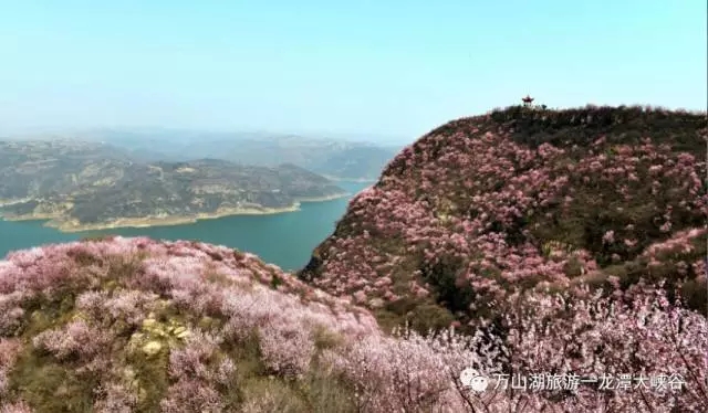 不负春色不负卿||荆紫仙山景区和龙潭大峡谷景区献礼女人节 3月8日免费畅游