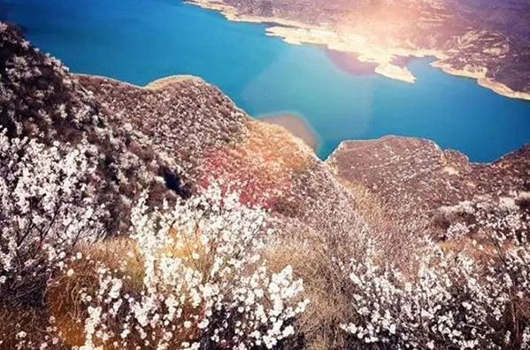 桃花之约•浪漫之旅 荆紫仙山举行第三届桃花节新闻发布会
