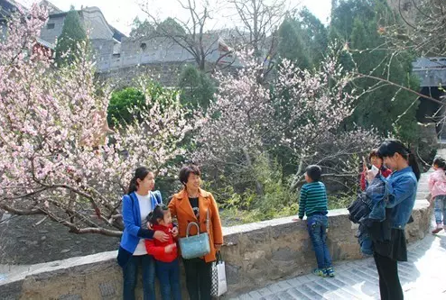 “三八”女神节，淇县云梦山景区放“大招”了！约约约，一起嗨起来！！！