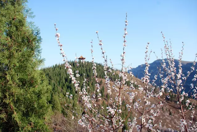 “三八”女神节，淇县云梦山景区放“大招”了！约约约，一起嗨起来！！！