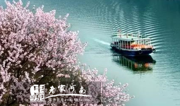 又到山花烂漫时,青天河万亩桃花竞开颜 又到山花烂漫时,青天河万亩桃花竞开颜