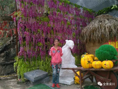 老君山海拔2000米山上走丢，全员配合，天黑前找到女儿!