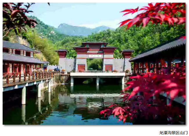 加大整改力度 全面提升质量——西峡龙潭沟景区“对标提升”工作纪实