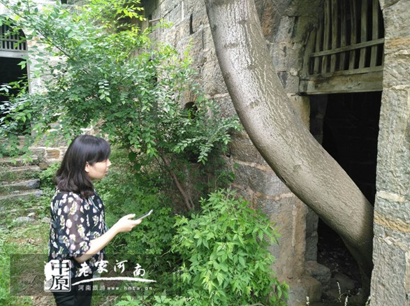 巩义市文物和旅游局多措并举助力帮扶责任村发展 巩义市文物和旅游局多措并举助力帮扶责任村发展