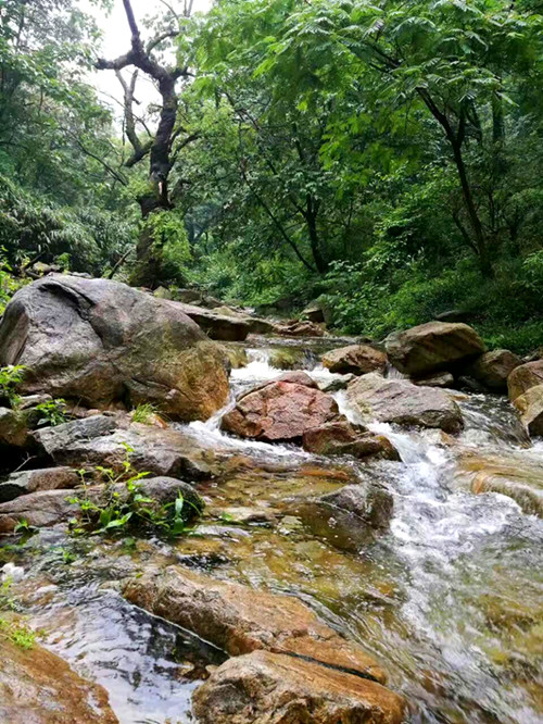 美途携手省内旅游界同仁桐柏淮源景区采风活动圆满成功