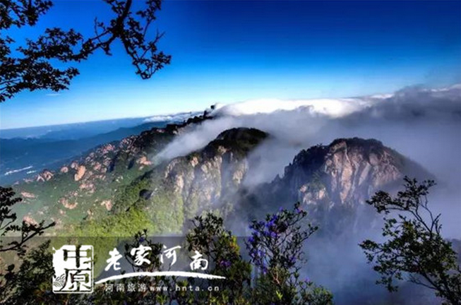 洛阳白云山：好礼献上！你自驾白云山我送过路费！