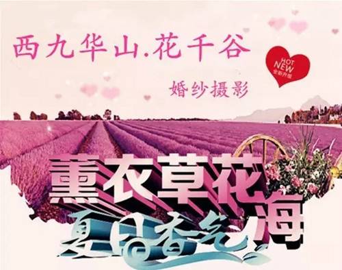信阳西九华山：花千谷薰衣草庄园只为遇见你