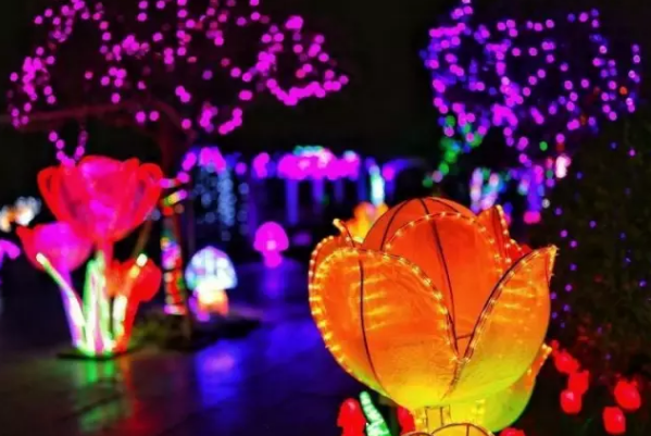 中国开封“梦幻杨府”光影啤酒音乐节邀请你来嗨
