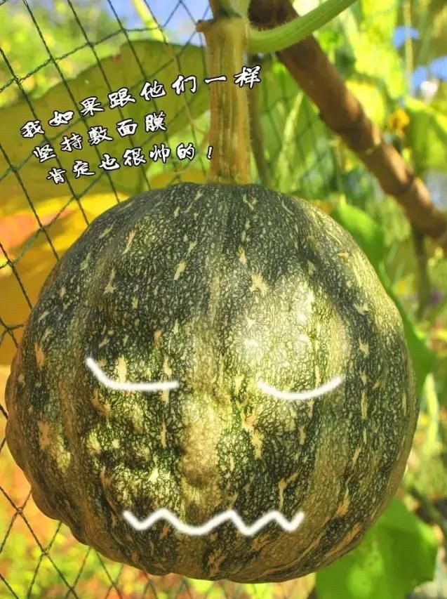 稀奇!一夜之后，丹江大观苑的这些瓜果竟然开口说话啦!