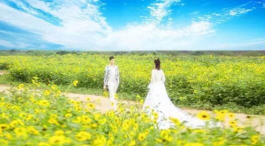 潘安嫦娥做红娘，七夕相会葵花园！