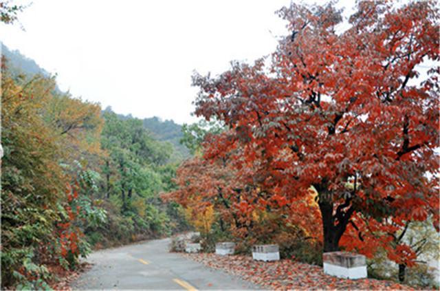 十一期间 太行大峡谷接待量稳定 服务亮点闪烁