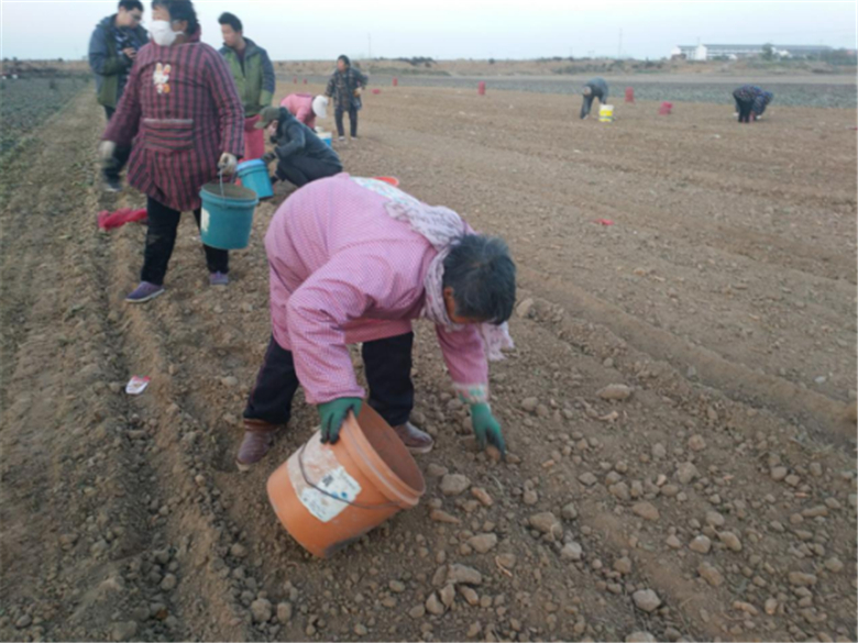 “匠心河南 振兴豫企” 百家媒体走进怀庆药都