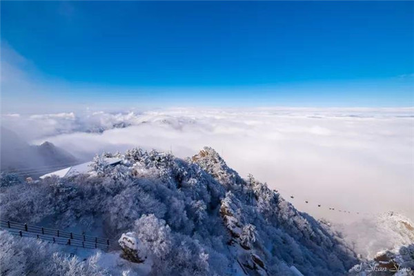 登老君山顶 看云海翻涌 雾凇仙境 登老君山顶 看云海翻涌 雾凇仙境