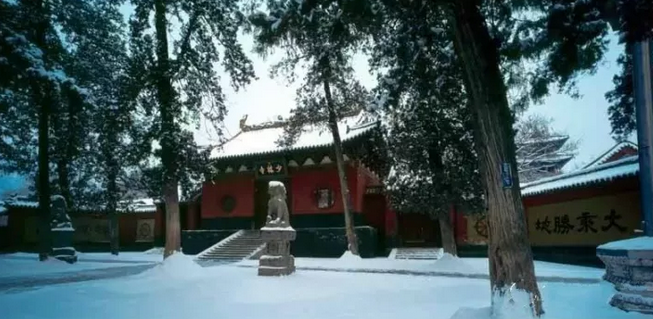 嵩山雪后披纱缠云 更显雾凇风姿绰约
