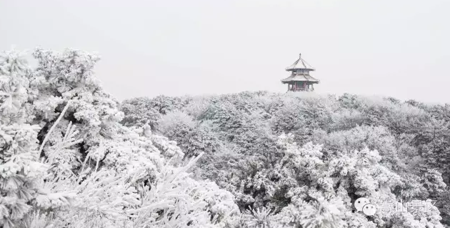 嵩山雪后披纱缠云 更显雾凇风姿绰约