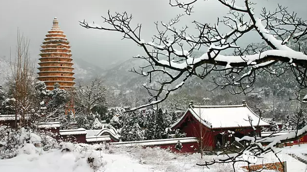 嵩山雪后披纱缠云 更显雾凇风姿绰约
