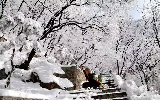 嵩山雪后披纱缠云 更显雾凇风姿绰约