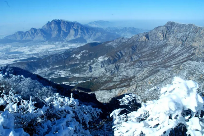 嵩山雪后披纱缠云 更显雾凇风姿绰约
