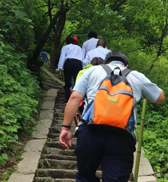 2018年,洛阳白云山和您一起犬力以赴好好生活！