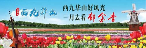 西九华山好风光，三月去看郁金香