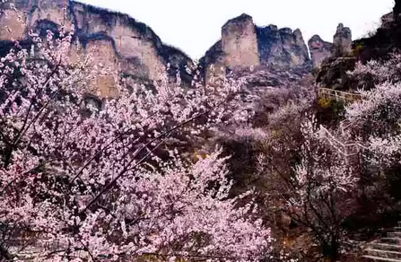 三八节丨新乡南太行免费景区出炉了！