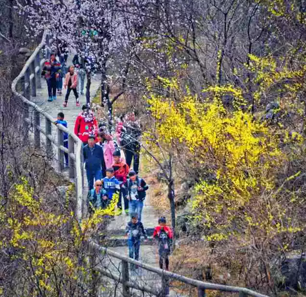 三八节丨新乡南太行免费景区出炉了！