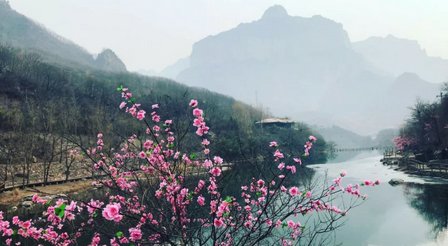 三八节丨新乡南太行免费景区出炉了！