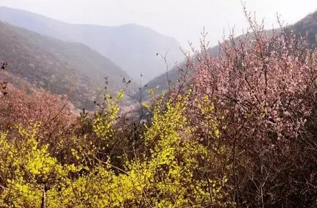 “女神节”来啦！青天河让你免费玩！