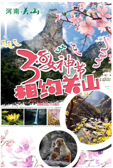一花一世界丨关山连翘，花开正当时