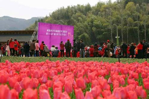 河南西九华山花千谷第二届郁金香风情文化节将于 3月24日开幕（图）