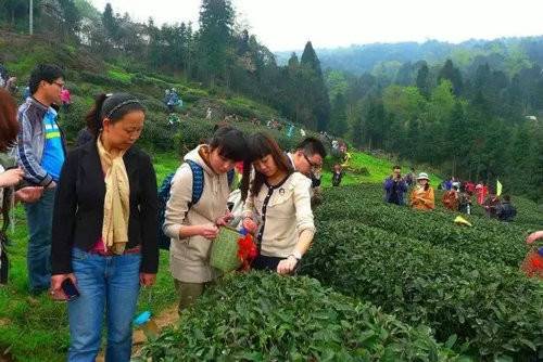 河南西九华山花千谷第二届郁金香风情文化节将于 3月24日开幕（图）