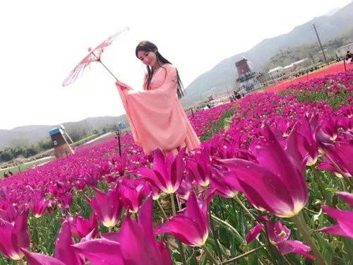 河南西九华山花千谷第二届郁金香风情文化节将于 3月24日开幕（图）