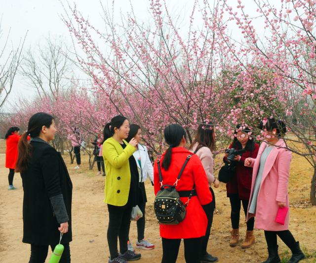绿博园：花开春意浓，掀起踏青热