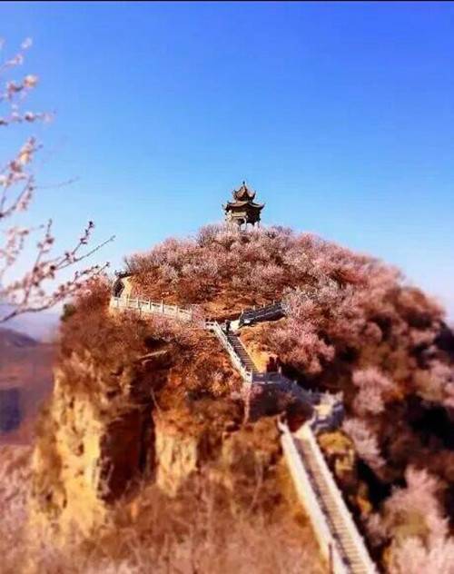 洛阳荆紫仙山第四届桃花节新闻发布会在郑州举行