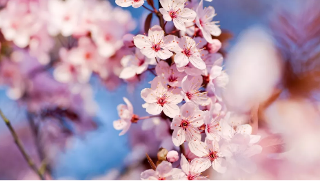 开学第一课，红旗渠研学旅行“花样”体验别样春！