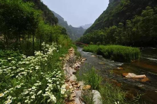 3月16日2018“春醒•忆老家 踏青赏花季”启动，青天河邀你一起“撩”花！