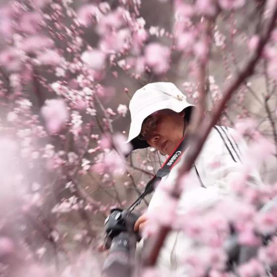 3月16日2018“春醒•忆老家 踏青赏花季”启动，青天河邀你一起“撩”花！