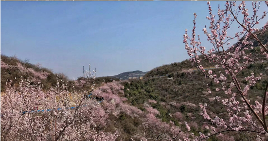 2018“春醒•忆老家 踏青赏花季”暨焦作青天河桃花节启动仪式在青天河景区隆重举行